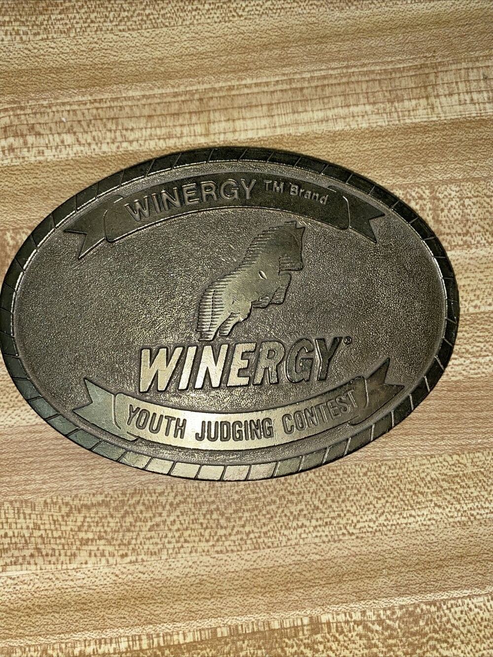 1992 Colorado Silver Star Oval Brass Belt Buckle Youth Judging Contest Winergy